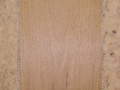 H Panel